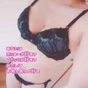 ヒメ日記 2024/12/29 11:31 投稿 はるな ご近所物語