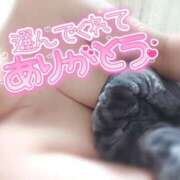 ヒメ日記 2024/12/31 13:00 投稿 はるな ご近所物語