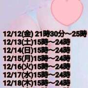 ヒメ日記 2025/12/09 17:25 投稿 ひとみ ご近所物語