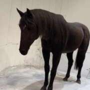 ヒメ日記 2025/01/05 01:10 投稿 りな エディーズ