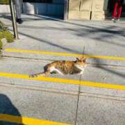 ヒメ日記 2025/01/11 00:40 投稿 りな エディーズ