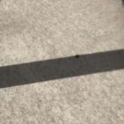 ヒメ日記 2025/01/19 11:50 投稿 りな エディーズ