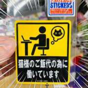 ヒメ日記 2025/02/01 00:20 投稿 りな エディーズ