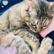 ヒメ日記 2025/02/04 09:01 投稿 りな エディーズ