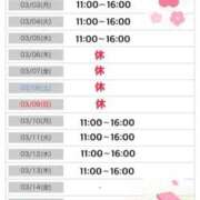 ヒメ日記 2025/02/28 10:04 投稿 りな エディーズ