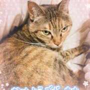 ヒメ日記 2025/03/18 10:24 投稿 りな エディーズ