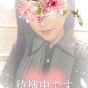 ヒメ日記 2025/03/26 11:12 投稿 りな エディーズ