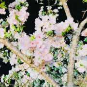 ヒメ日記 2025/04/01 09:46 投稿 りな エディーズ