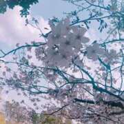 ヒメ日記 2025/04/06 09:07 投稿 りな エディーズ