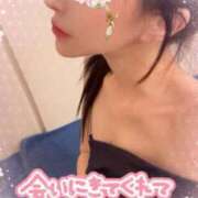 ヒメ日記 2025/04/25 16:26 投稿 りな エディーズ