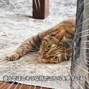 ヒメ日記 2025/06/16 08:20 投稿 りな エディーズ