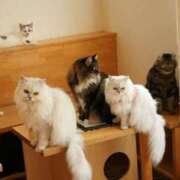 ヒメ日記 2025/09/20 11:26 投稿 りな エディーズ