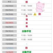 ヒメ日記 2025/09/23 10:26 投稿 りな エディーズ