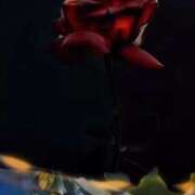 ヒメ日記 2025/10/02 16:06 投稿 りな エディーズ