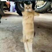 ヒメ日記 2025/11/05 10:40 投稿 りな エディーズ