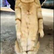 ヒメ日記 2025/11/08 00:16 投稿 りな エディーズ