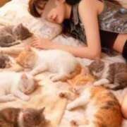 ヒメ日記 2025/11/11 00:36 投稿 りな エディーズ