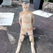 ヒメ日記 2026/01/06 10:43 投稿 りな エディーズ