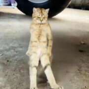 ヒメ日記 2026/01/19 10:26 投稿 りな エディーズ