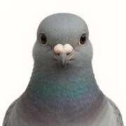 ヒメ日記 2026/01/22 10:36 投稿 りな エディーズ