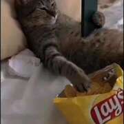 ヒメ日記 2026/02/11 08:56 投稿 りな エディーズ