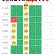 ヒメ日記 2026/02/12 10:01 投稿 りな エディーズ