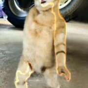 ヒメ日記 2026/02/22 10:26 投稿 りな エディーズ