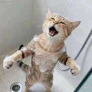 ヒメ日記 2026/03/04 01:26 投稿 りな エディーズ