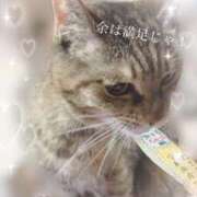 ヒメ日記 2026/03/13 00:26 投稿 りな エディーズ