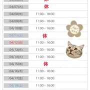 ヒメ日記 2026/04/04 10:27 投稿 りな エディーズ