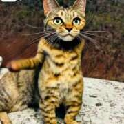 ヒメ日記 2026/04/05 10:31 投稿 りな エディーズ