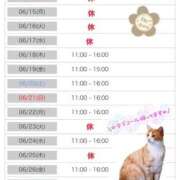 ヒメ日記 2026/06/13 10:04 投稿 りな エディーズ