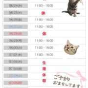 ヒメ日記 2026/06/18 23:56 投稿 りな エディーズ