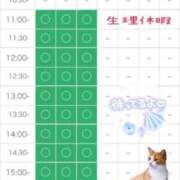 ヒメ日記 2026/06/29 09:16 投稿 りな エディーズ