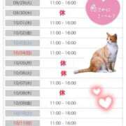 ヒメ日記 2026/09/24 20:56 投稿 りな エディーズ