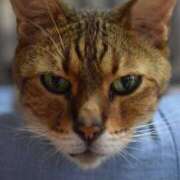 ヒメ日記 2024/12/11 23:00 投稿 椎名さちこ セレブショップ新宿（東京ハレ系）