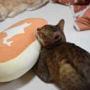 ヒメ日記 2025/03/11 22:30 投稿 椎名さちこ セレブショップ新宿（東京ハレ系）