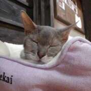 ヒメ日記 2025/08/16 12:00 投稿 椎名さちこ セレブショップ新宿（東京ハレ系）