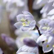 ヒメ日記 2025/09/18 12:02 投稿 椎名さちこ セレブショップ新宿（東京ハレ系）