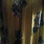 ヒメ日記 2025/10/23 23:15 投稿 椎名さちこ セレブショップ新宿（東京ハレ系）