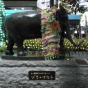 ヒメ日記 2025/12/16 20:30 投稿 椎名さちこ セレブショップ新宿（東京ハレ系）