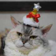 ヒメ日記 2025/12/24 21:30 投稿 椎名さちこ セレブショップ新宿（東京ハレ系）