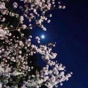 ヒメ日記 2026/04/12 18:26 投稿 木皿儀みお メンズエステ葛西＠彼女はエステシャン