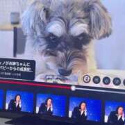 ヒメ日記 2025/03/21 02:32 投稿 女神ありす CLUB39（クラブサンキュー）