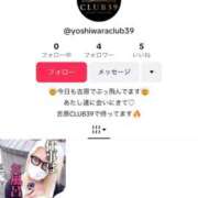 ヒメ日記 2025/04/07 01:52 投稿 女神ありす CLUB39（クラブサンキュー）