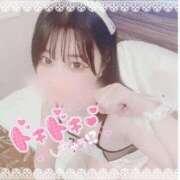 ヒメ日記 2025/02/12 12:40 投稿 さりな 素人図鑑