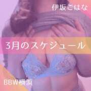伊坂 🌼3月前半スケジュール BBW横浜店