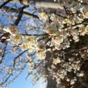 ヒメ日記 2025/03/02 10:48 投稿 新人りか 成田人妻講座
