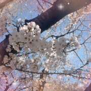 ヒメ日記 2025/04/09 11:24 投稿 新人りか 成田人妻講座