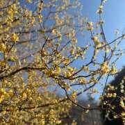 ヒメ日記 2025/05/10 09:03 投稿 新人りか 成田人妻講座